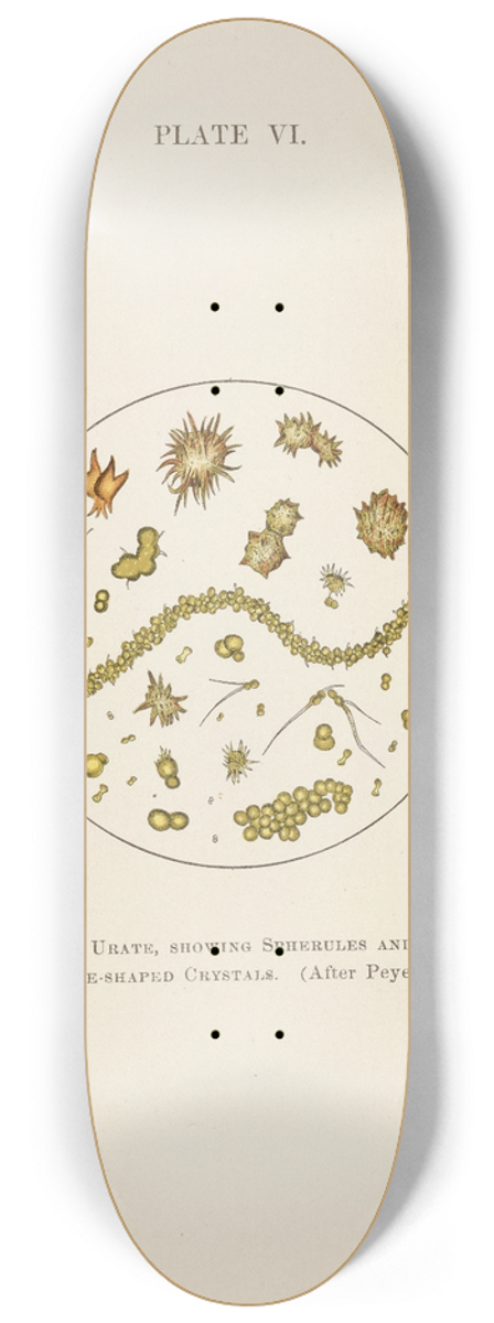 Charles Wesley Purdy - Plate VI: Ammonium Urate, Showing Spherules and Thorn-Apple-Shaped Crystals 8.25 inch art skate deck