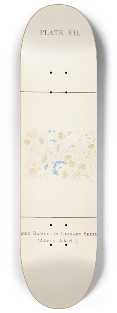 Charles Wesley Purdy - Plate VII: Tubercle Bacilli in Urinary Sediment 8.25 inch art skate deck