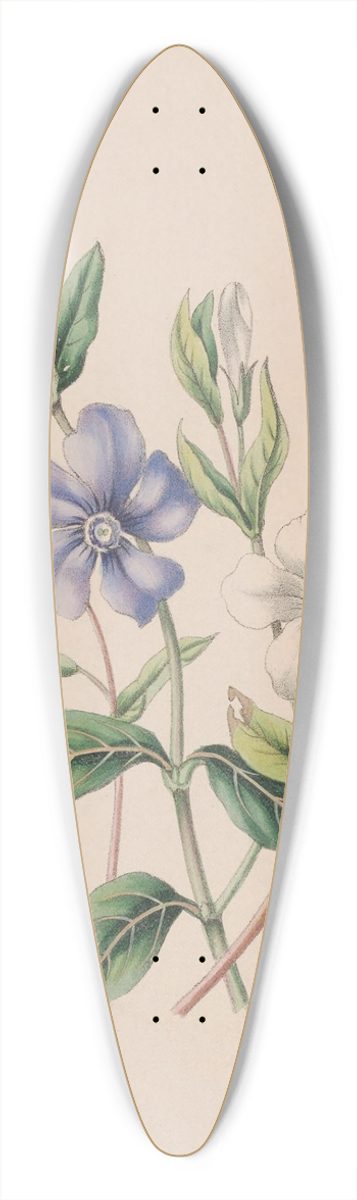 John Stevens Henslow - Periwinkle 39.3 inch art pintail longboard deck