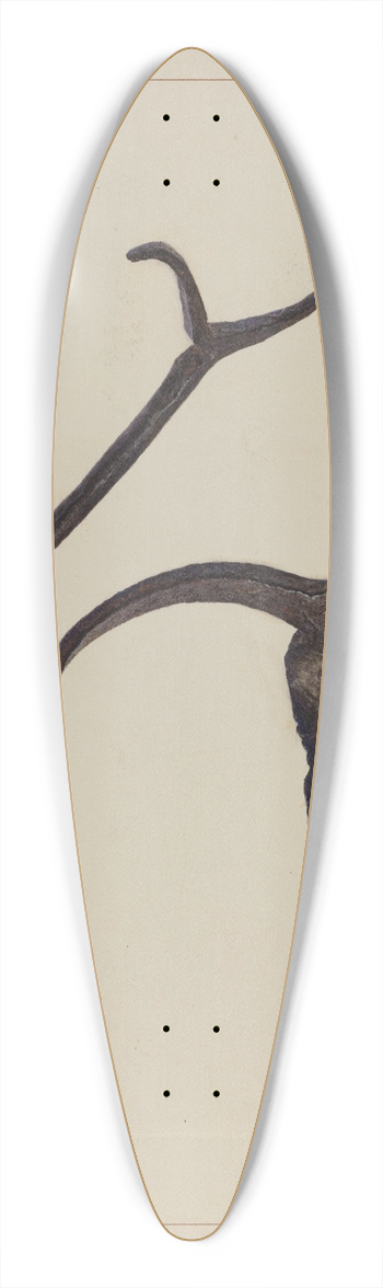 John Swientochowski - Betty Lamp 39.3 inch art pintail longboard deck