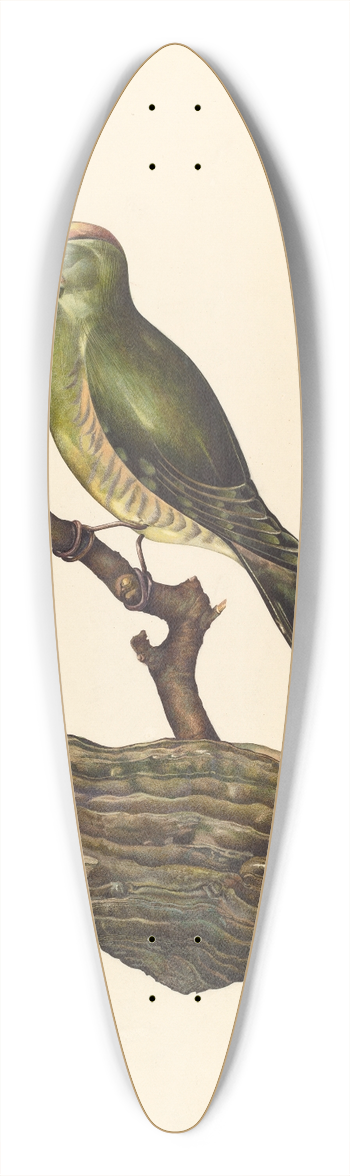 John Thorsen - Robin (German ) 39.3 inch art pintail longboard deck