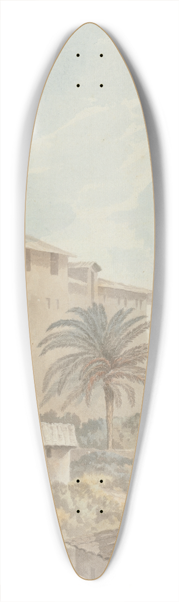John Warwick Smith - On Mt. Palatine 39.3 inch art pintail longboard deck