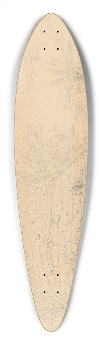John Webber - A View in Annamooka 39.3 inch art pintail longboard deck