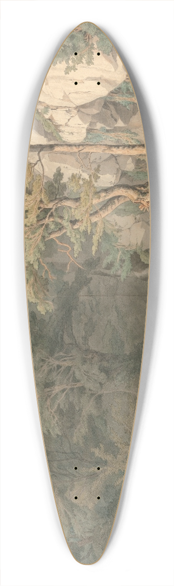 John White Abbott - Canonteign, Devon 39.3 inch art pintail longboard deck