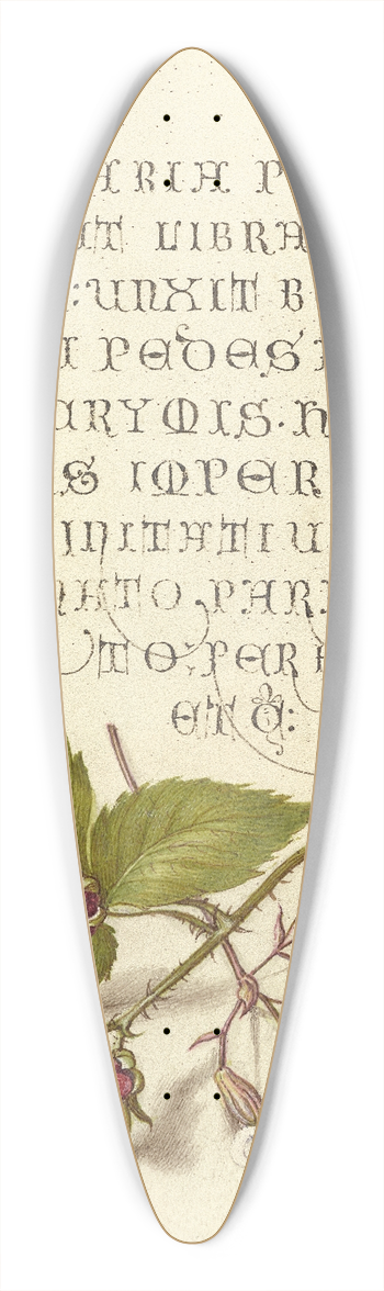 Joris Hoefnagel - Blackberry and Nottingham Catchfly 39.3 inch art pintail longboard deck