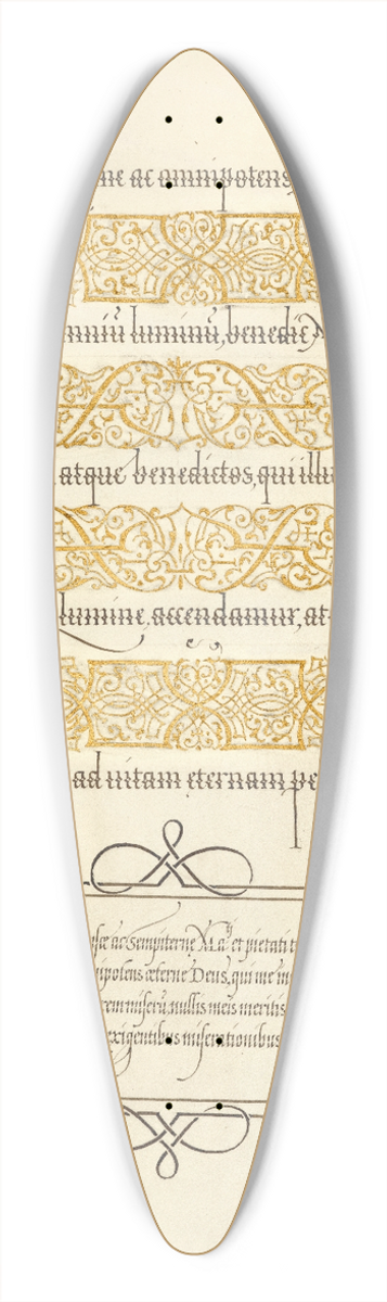 Joris Hoefnagel - Caterpillars. 39.3 inch art pintail longboard deck