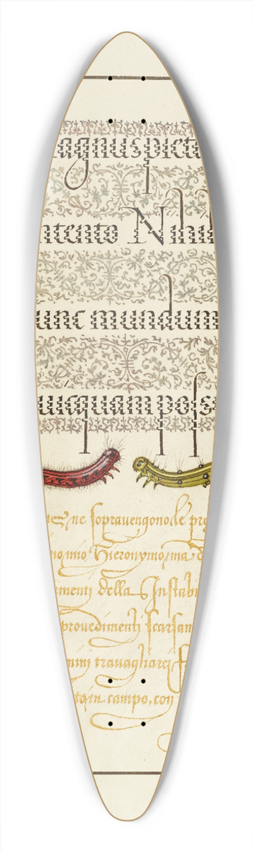 Joris Hoefnagel - Caterpillars 39.3 inch art pintail longboard deck