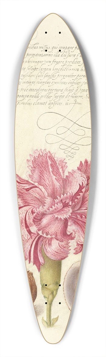 Joris Hoefnagel - Damselfly, Carnation, Insect, Caterpillar, Ladybird, English Walnut, and Marine Mollusk 39.3 inch art pintail longboard deck