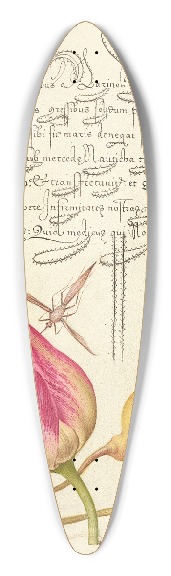 Joris Hoefnagel - Imaginary Insect, Tulip, Spider, and Common Pear 39.3 inch art pintail longboard deck