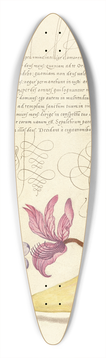 Joris Hoefnagel - Rampion, Dittany, and Pear 39.3 inch art pintail longboard deck
