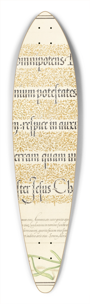Joris Hoefnagel - Toadflax 39.3 inch art pintail longboard deck
