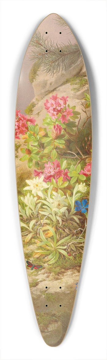 Josef Lauer - Still life with snail 39.3 inch art pintail longboard deck