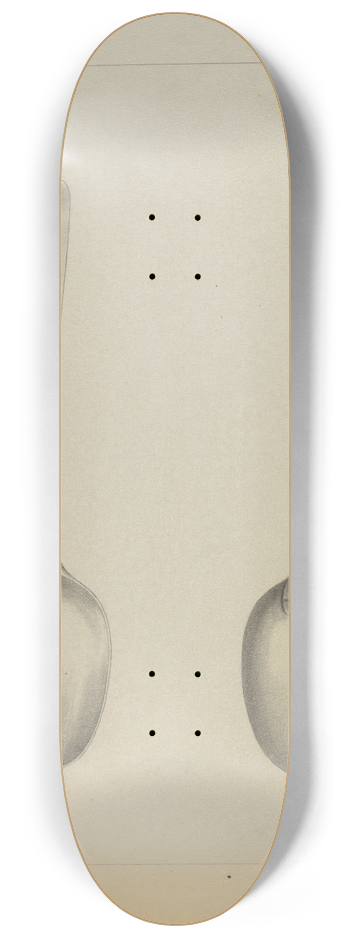 Charlotte Winter - Silver Spoon 8.25 inch art skate deck