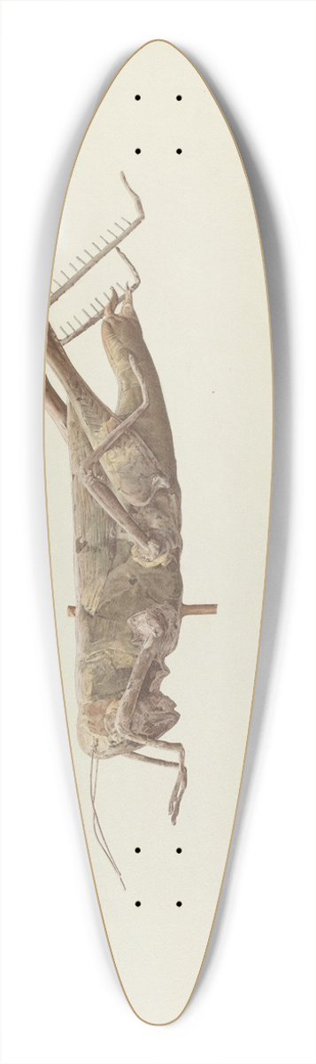 Joseph Goldberg - Grasshopper Weather Vane 39.3 inch art pintail longboard deck