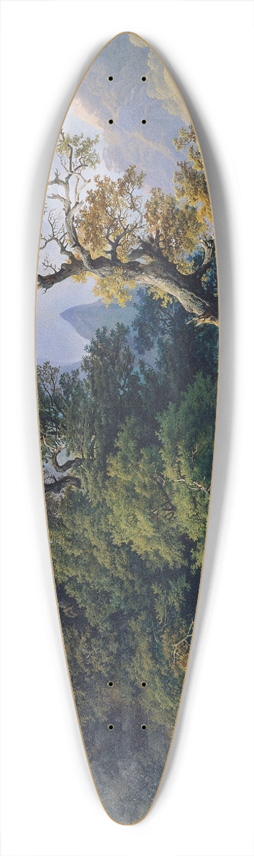 Joseph Holzer - Berglandschaft 39.3 inch art pintail longboard deck