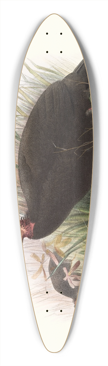 Joseph Smit - Phasidus Niger 39.3 inch art pintail longboard deck