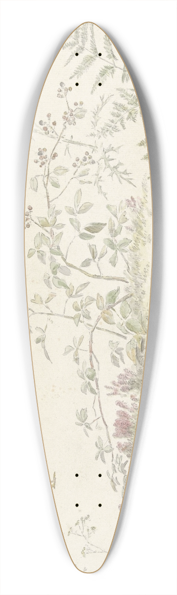 Josephus Augustus Knip - Studieblad met planten en watervogels 39.3 inch art pintail longboard deck