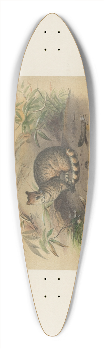 Joseph Wolf - The Rasse 39.3 inch art pintail longboard deck