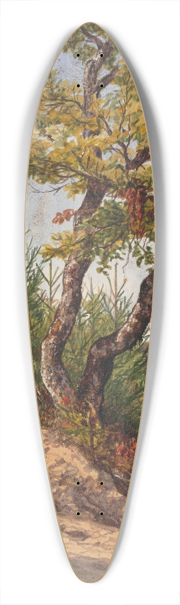 Jozef Van Lerius - Schwalbach Nassau 39.3 inch art pintail longboard deck