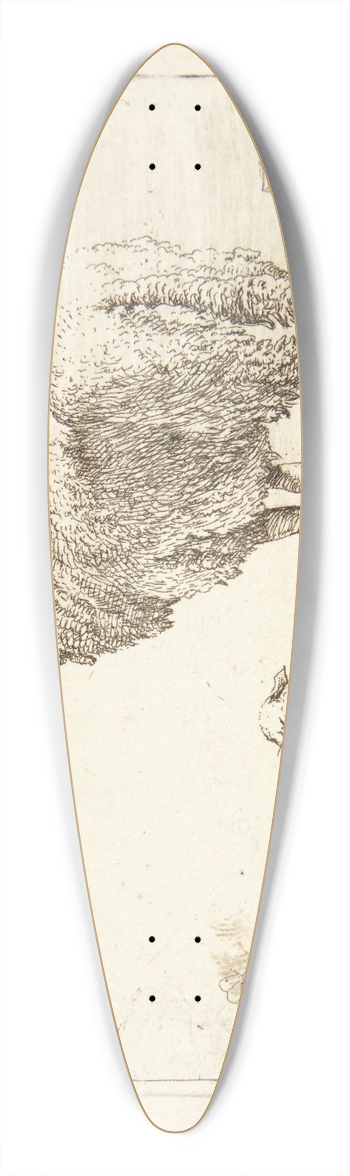 Karel Dujardin - Fr med et lam 39.3 inch art pintail longboard deck
