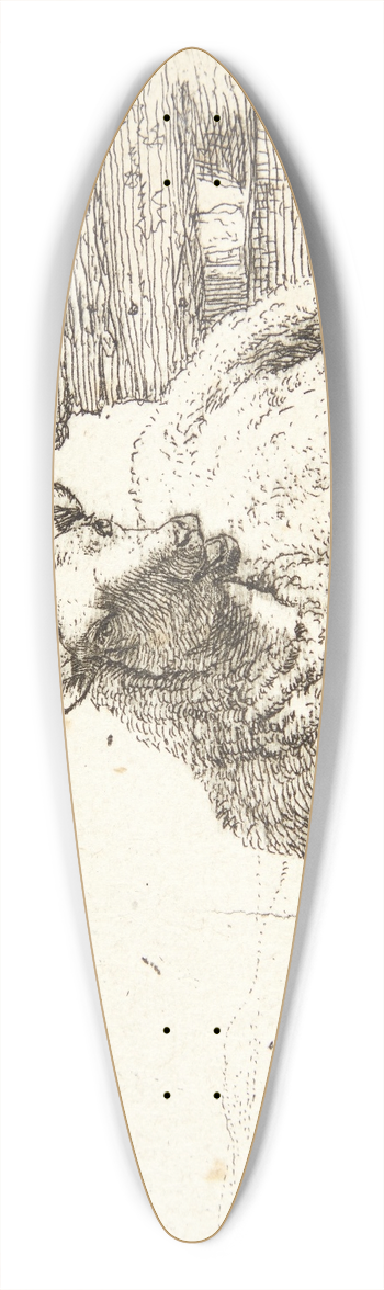 Karel Dujardin - Liggende fr nr et trgrde 39.3 inch art pintail longboard deck