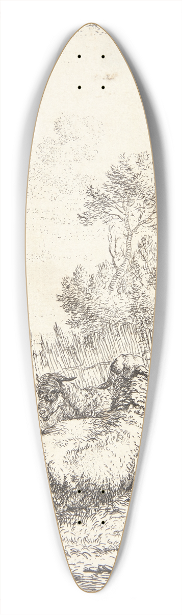 Karel Dujardin - To fr og en ged 39.3 inch art pintail longboard deck