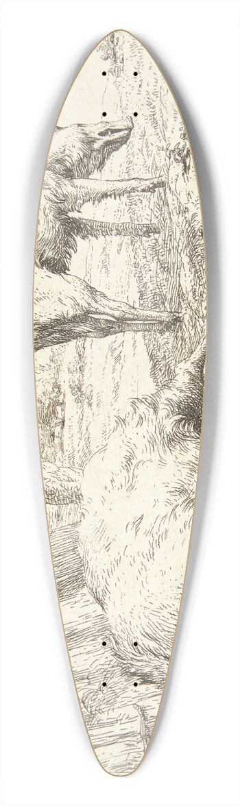 Karel Dujardin - To svin i en svinesti 39.3 inch art pintail longboard deck
