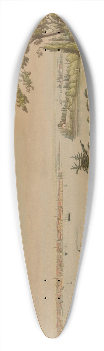 L. Augier - New York in 1822 from Weehawken 39.3 inch art pintail longboard deck