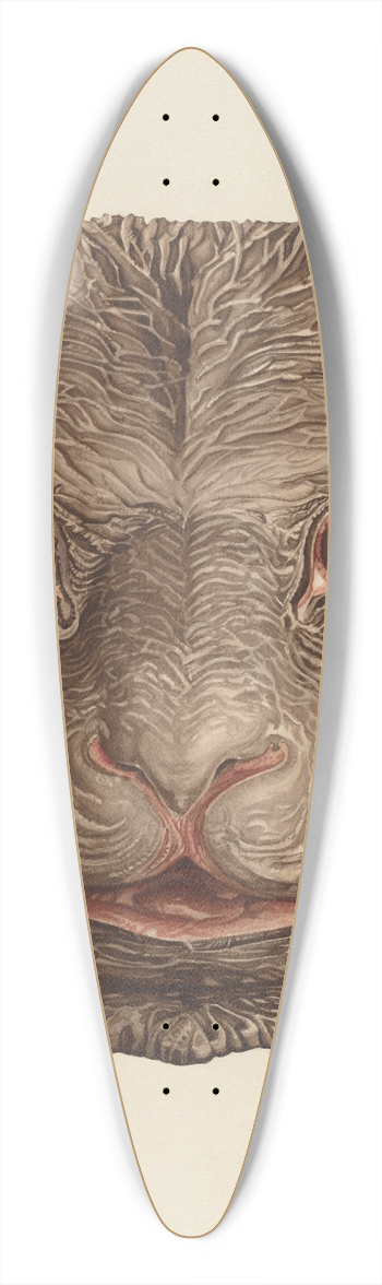 Laura Bilodeau - Bears Head 39.3 inch art pintail longboard deck