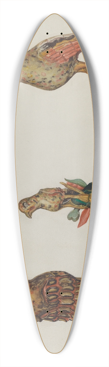 Laura Bilodeau - Pa. German Wooden Eagles 39.3 inch art pintail longboard deck