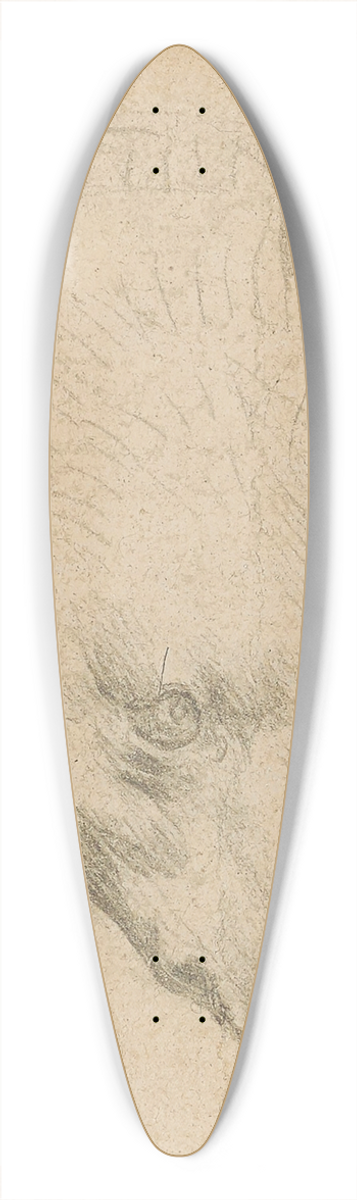 Leonardo da Vinci - Head of a bear 39.3 inch art pintail longboard deck