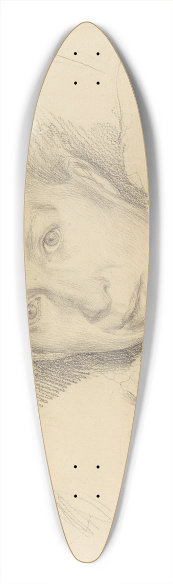 Leopold von Kalckreuth - The Artists Sister, Marie von Kalckreuth 39.3 inch art pintail longboard deck