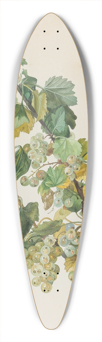 Leopold Zinngger - Grne Ribisel 39.3 inch art pintail longboard deck