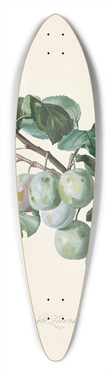 Leopold Zinngger - Ringlottenzweig 39.3 inch art pintail longboard deck