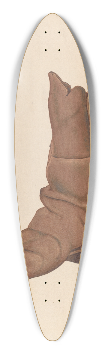 LeRoy Griffith - Childs Boot 39.3 inch art pintail longboard deck
