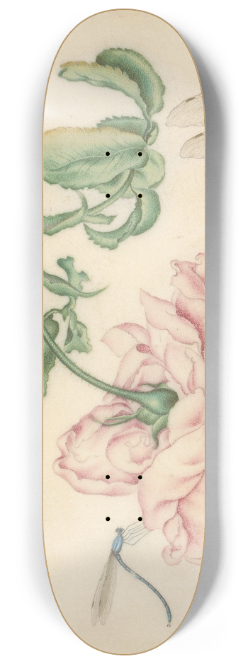 Christoffel van den Berghe - A Rose and Five Insects 8.25 inch art skate deck