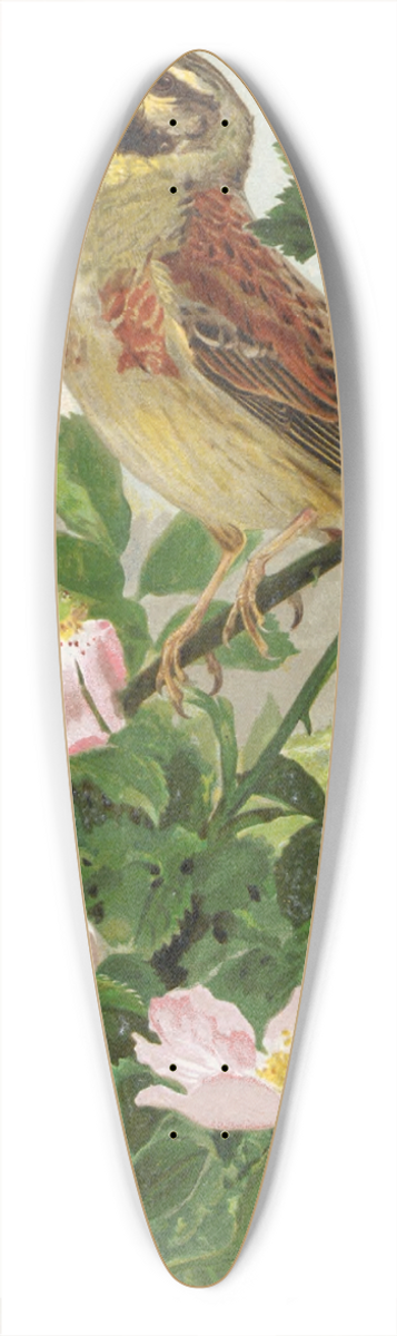 Lo-Paul Robert - Bruant Zizi 39.3 inch art pintail longboard deck