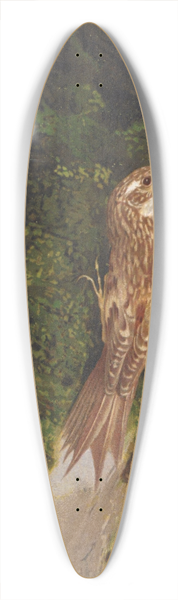 Lo-Paul Robert - Grimpereau 39.3 inch art pintail longboard deck