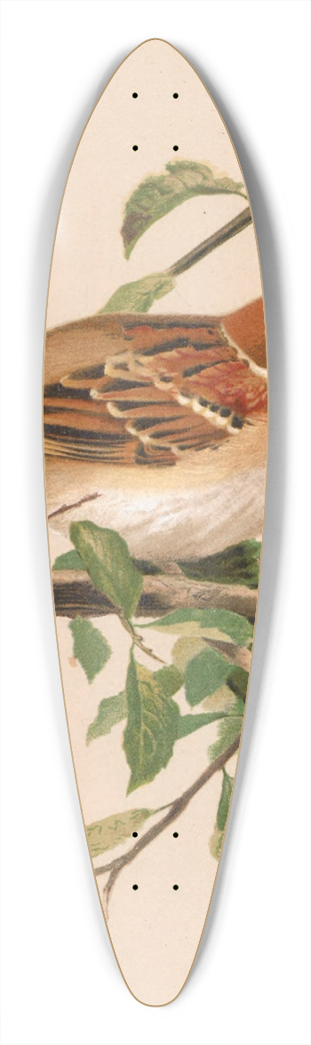 Lo-Paul Robert - Moineau Friquet 39.3 inch art pintail longboard deck