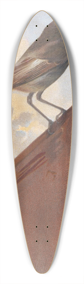 Lo-Paul Robert - Rouge Queue 39.3 inch art pintail longboard deck