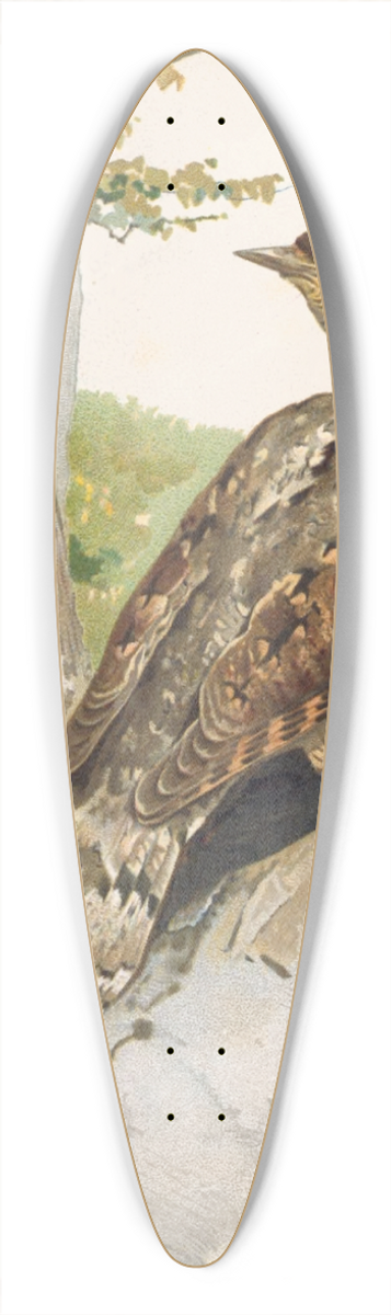 Lo-Paul Robert - Torcol 39.3 inch art pintail longboard deck