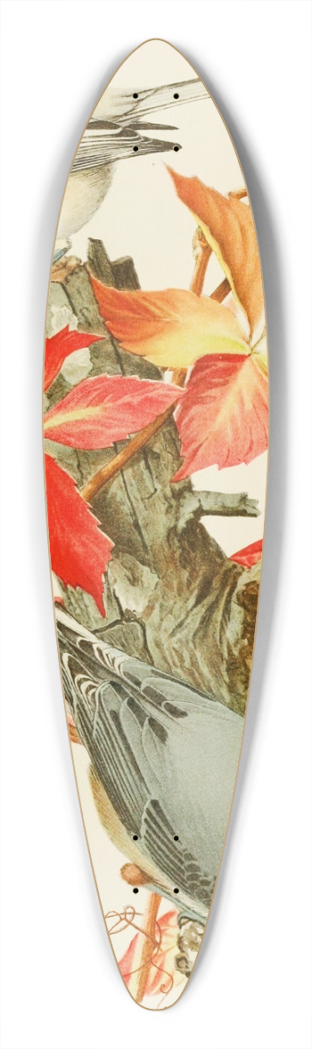 Louis Agassiz Fuertes - Chickadee,White-Breasted Nuthatch 39.3 inch art pintail longboard deck