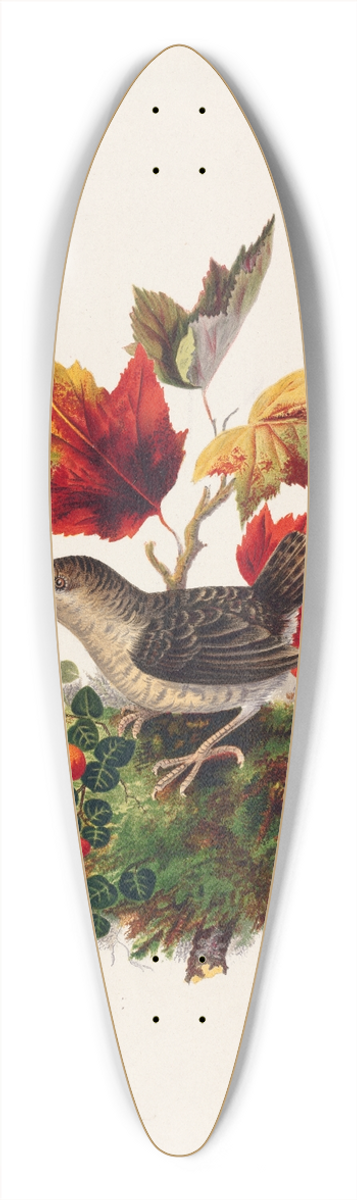 Louis Prang - Bird with Autumn Leaves 39.3 inch art pintail longboard deck