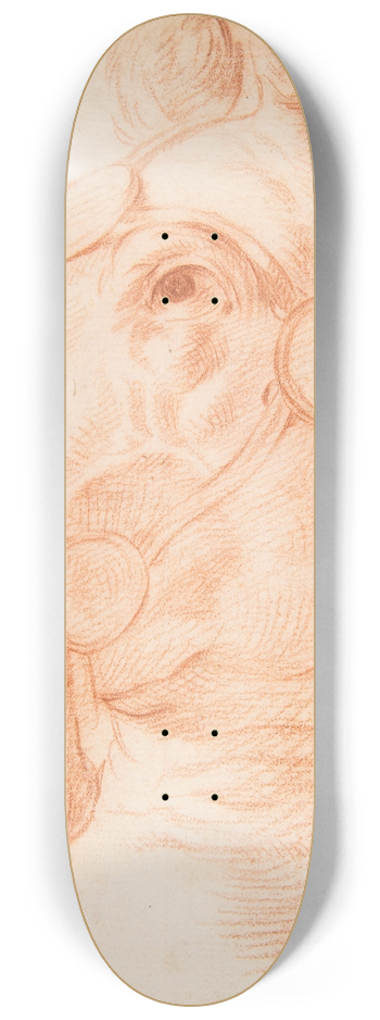 Circle of Baldassarre Franceschini - Study for a Horses Head 8.25 inch art skate deck