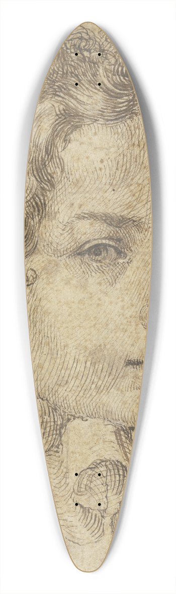 Ludovico Carracci - Young man with ruff 39.3 inch art pintail longboard deck