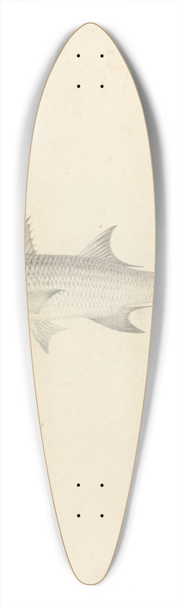 Luigi Balugani - Binney; number one (a fish) 39.3 inch art pintail longboard deck