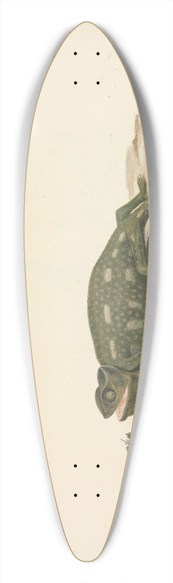 Luigi Balugani - Unidentified Chameleon 39.3 inch art pintail longboard deck
