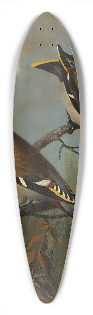 Magnus Von Wright - Tilh In Rowan 39.3 inch art pintail longboard deck