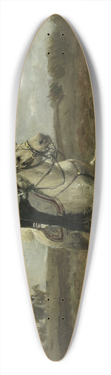 Maksymilian Gierymski - Order dispatch 39.3 inch art pintail longboard deck