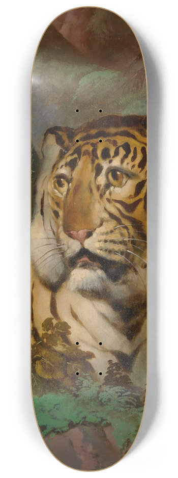 Circle of William Huggins - Portrait of a Tiger 8.25 inch art skate deck